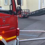 PHOTO-2026-04-07-21-10-57 4