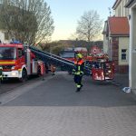 PHOTO-2026-04-07-21-11-00 2