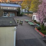 PHOTO-2026-04-07-21-20-53 7